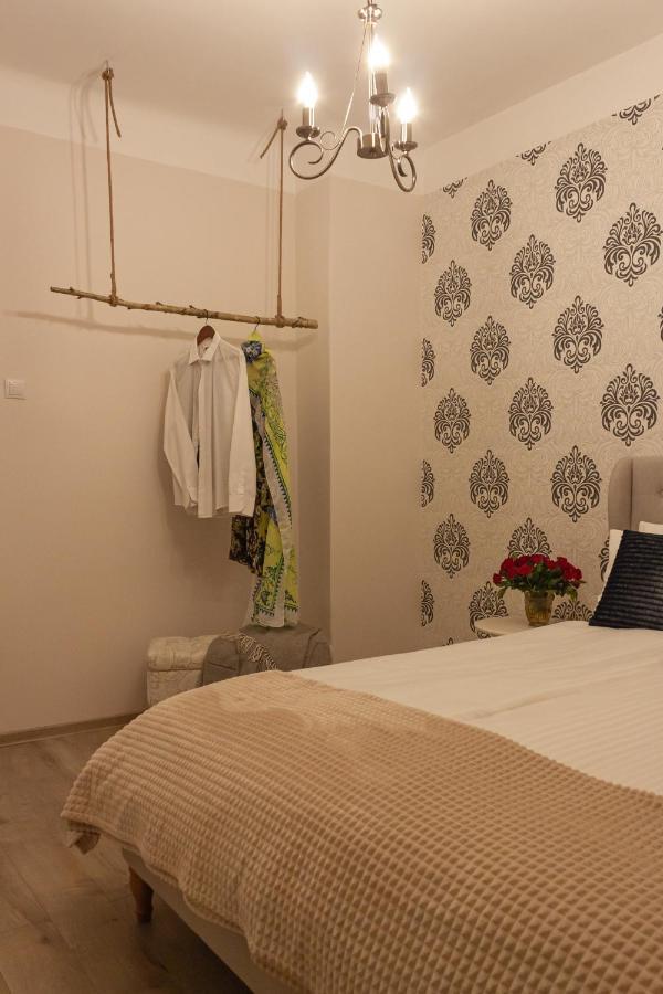 Cozy Family Apartments Braşov Eksteriør bilde
